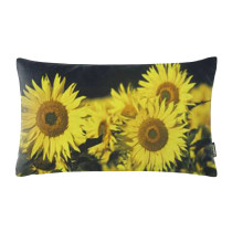 Proflax Kissenhülle Sonnenblumen 30x50 cm Schwarz Gelb