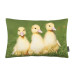 Proflax Kissenhülle Kissenbezug Entchen Küken Trio 27x43 cm gelb