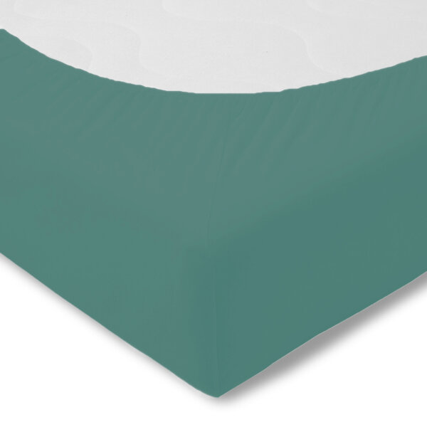 Kneer Edel Zwirn Jersey Spannbettlaken Salbei 140-160 x 200 cm