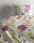 Zo!Home Bettwäsche Chrysantheme 135x200 + 80x80 cm in multicolor